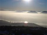 Nebel über der Donau